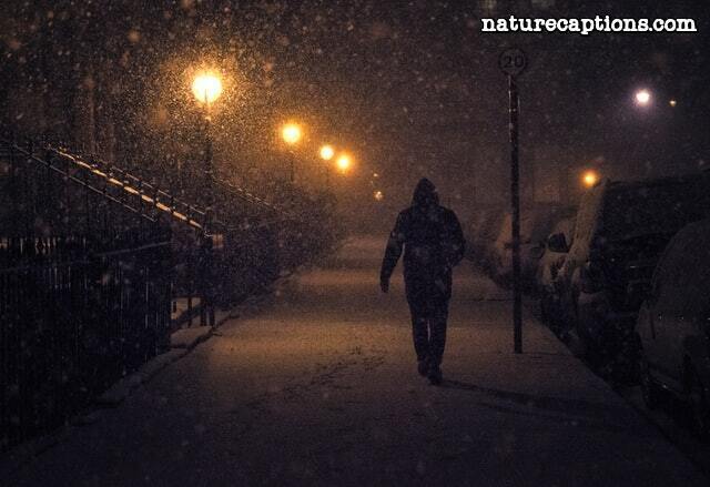 night walk captions