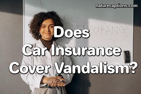 Does Car Insurance Cover Vandalism