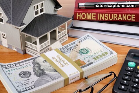 Home Insurance Cost