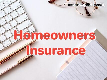 The Only Homeowners Insurance Guide You'll Ever Need In 2023