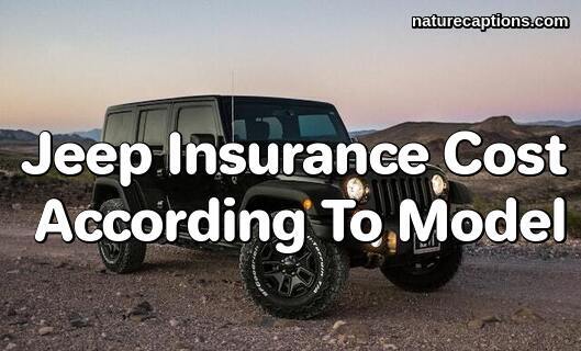 Jeep Insurance Cost According To Model